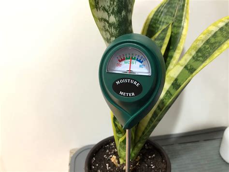 moisture meter for herbs|best green thumb soil moisture meter.